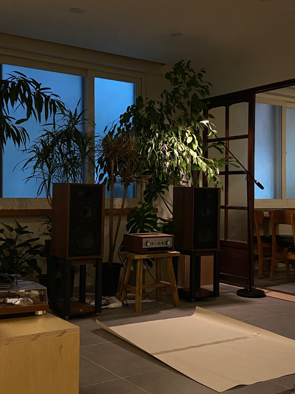푸른 창가 앞 목재 스피커와 오디오 장비, 풍성한 관엽 식물들이 비치는 차분한 조명의 실내