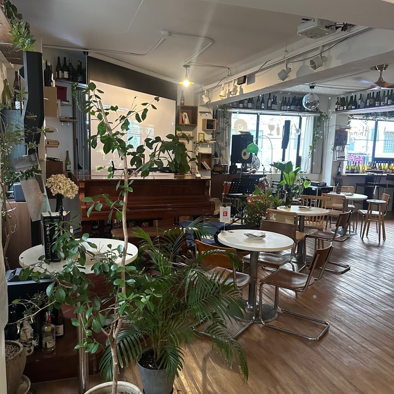 서울특별시 송파구 요리주점 디에스티클럽 석촌의 1인 혼술 공간. 그랜드 피아노와 스크린이 설치된 실내에 원형 테이블과 다찌석이 배치되어 있고 노란 조명이 비침.