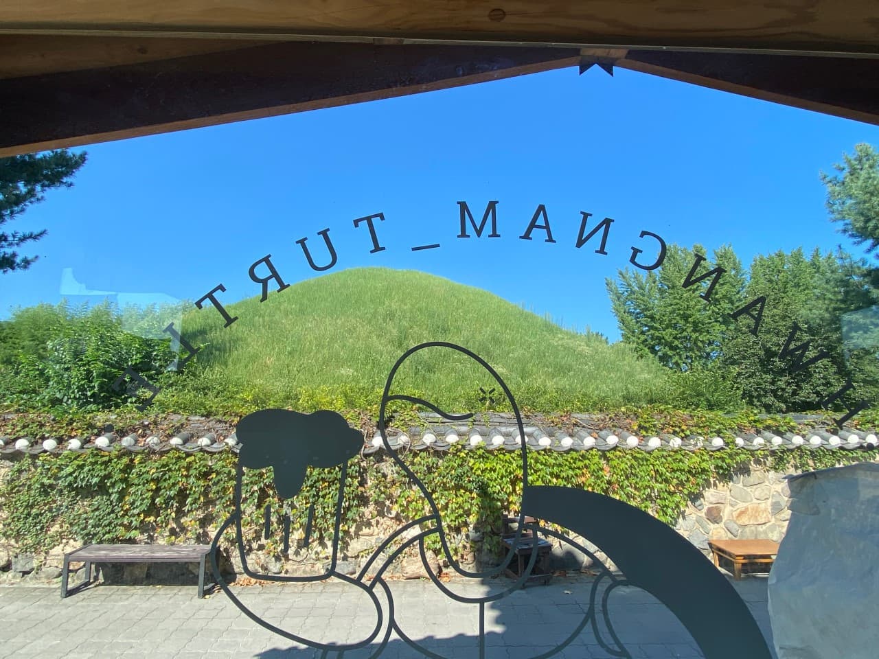 경상북도 경주시 황남거북이 경주 맥주 호프 매장. 유리창 너머로 초록색 고분과 돌담이 보이는 1인 혼술 좌석. 창에 그려진 거북이 캐릭터와 푸른 하늘 배경의 전망.