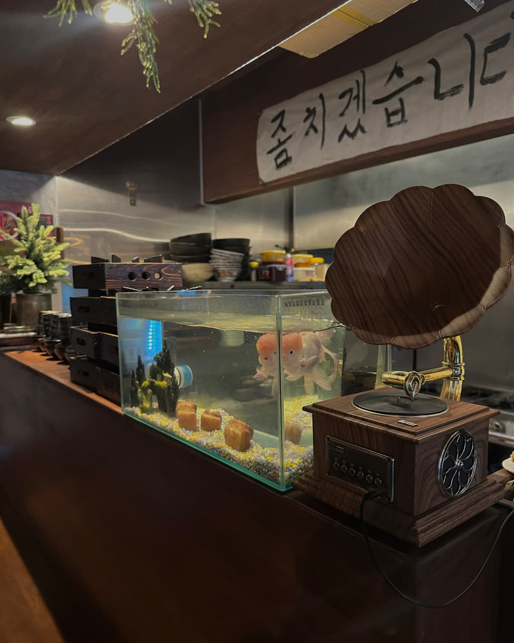 치노 수원행궁점 내부 전경