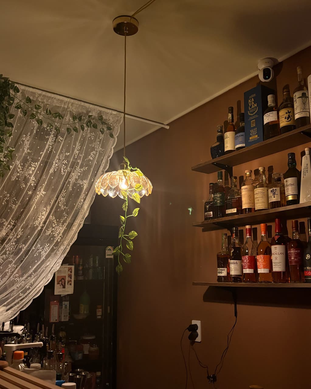 경상북도 경주시 둥지 혼술바 경북 바(Bar) - 주황색 펜던트 조명 아래 위스키 병이 진열된 벽면 선반과 레이스 커튼이 있는 1인 다찌석