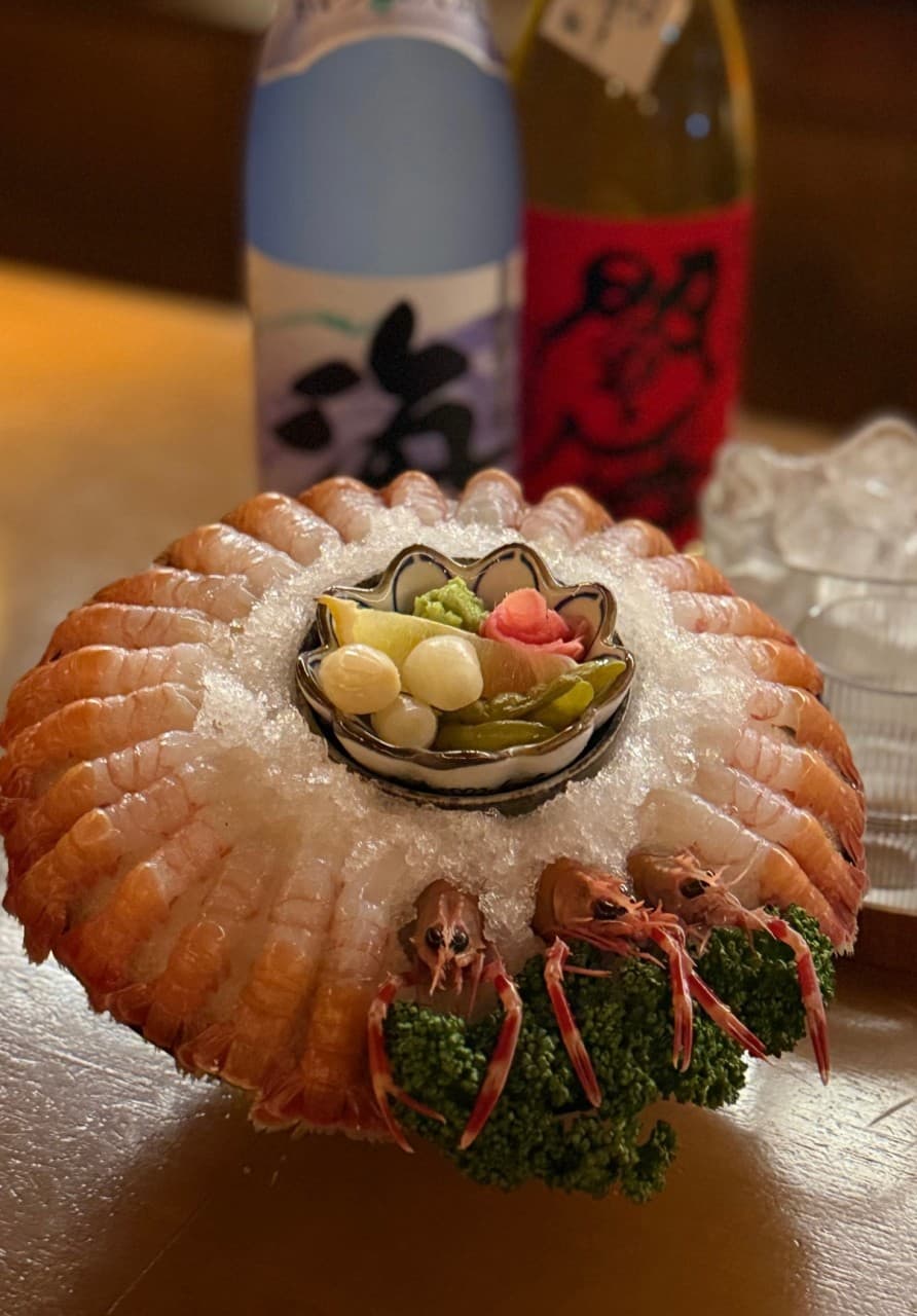 대전광역시 서구 월정 대전 이자카야 다찌석 혼술 구성. 얼음 위에 동그랗게 놓인 단새우 사시미의 윤기와 조명 아래 배치된 사케병이 차례로 보임.