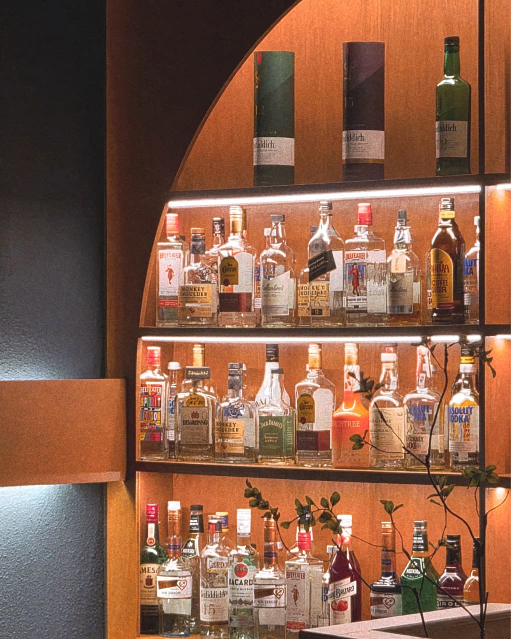 강원특별자치도 원주시 혼술바 느루 바(Bar) - 간접 조명이 비치는 나무 선반에 진열된 위스키와 보드카 병들. 1인 혼술 다찌석 앞 장식장 풍경.