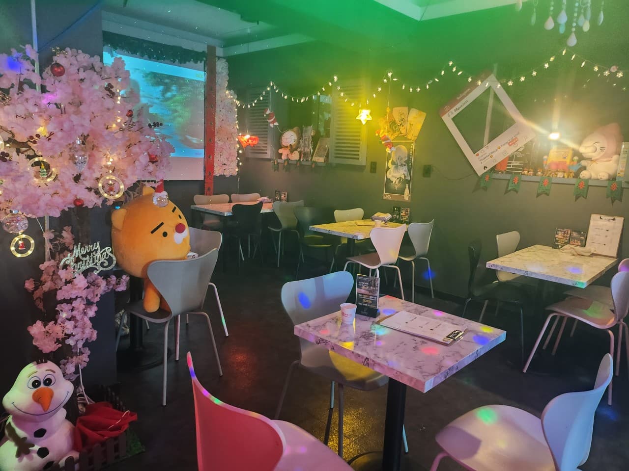 강원특별자치도 춘천시 요리주점 팔팔 내부. 분홍색 벚꽃 나무와 대리석 테이블이 배치된 1인 좌석 공간. 형형색색의 전구 조명과 캐릭터 인형이 놓인 실내에서 혼술을 즐기는 상황.