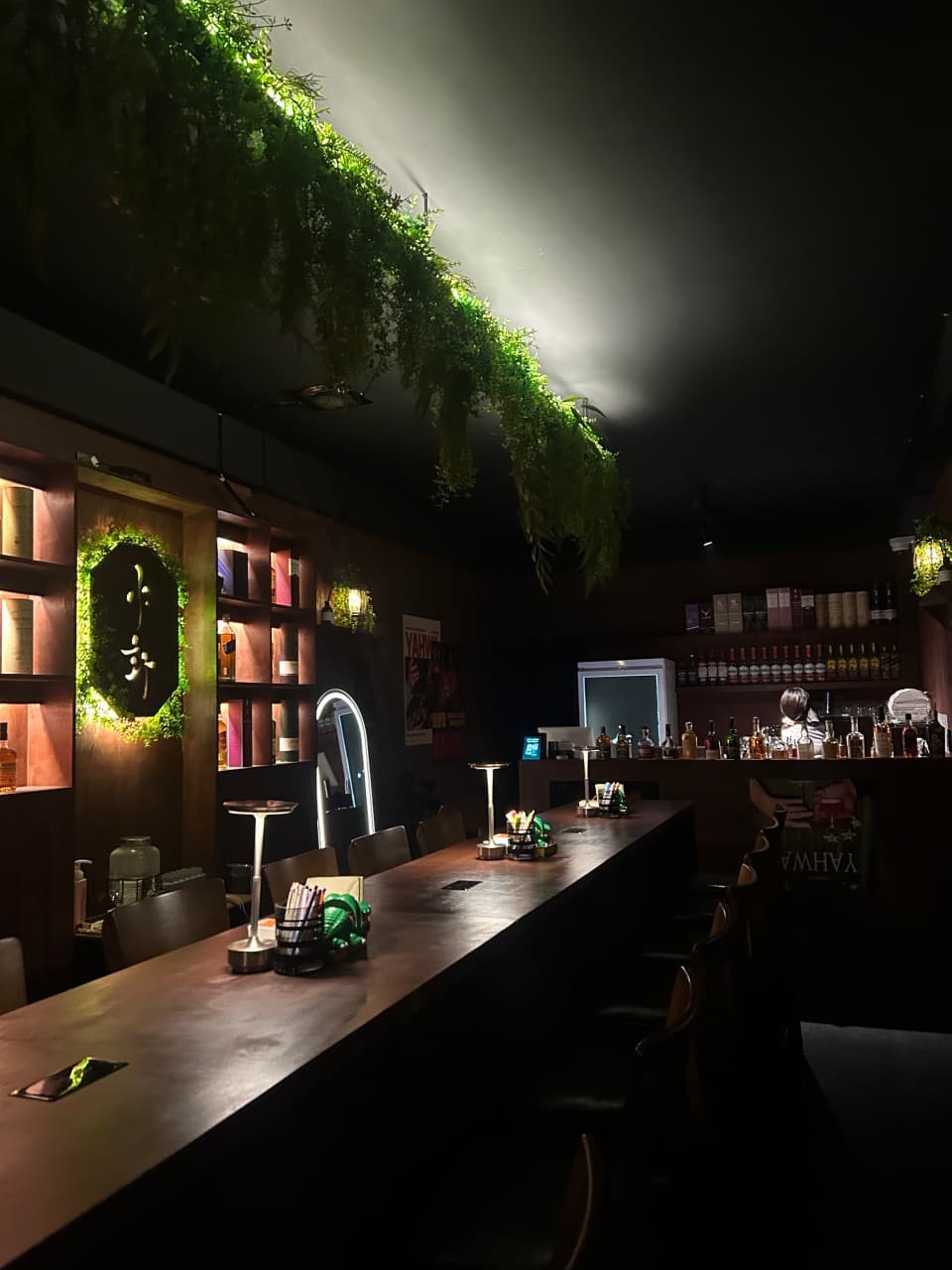 충청남도 천안시 야화 혼술바 천안신부점 바(Bar) - 어두운 조명 아래 긴 나무 다찌석과 1인 좌석. 벽면 선반의 다양한 술병과 천장의 식물 장식이 혼술 공간을 비춤.