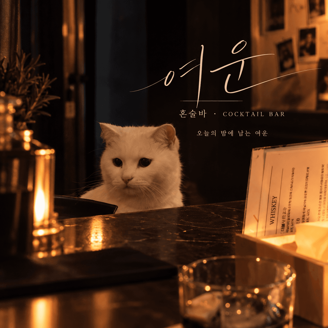 여운 혼술바 내부 전경 - 여운 바(Bar)